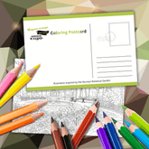 Color-Your-Own Mailable Postcard: Iceland Botanical Garden (Pack of 6 + Essential Art 12-Color Pencil Set)