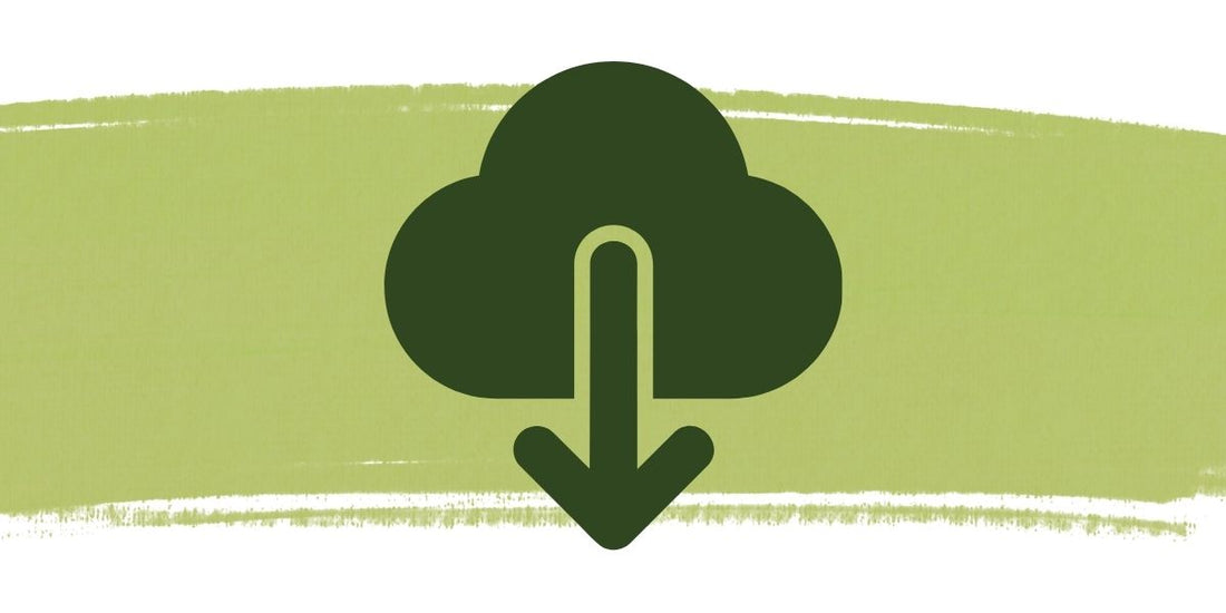 Downloadable Content