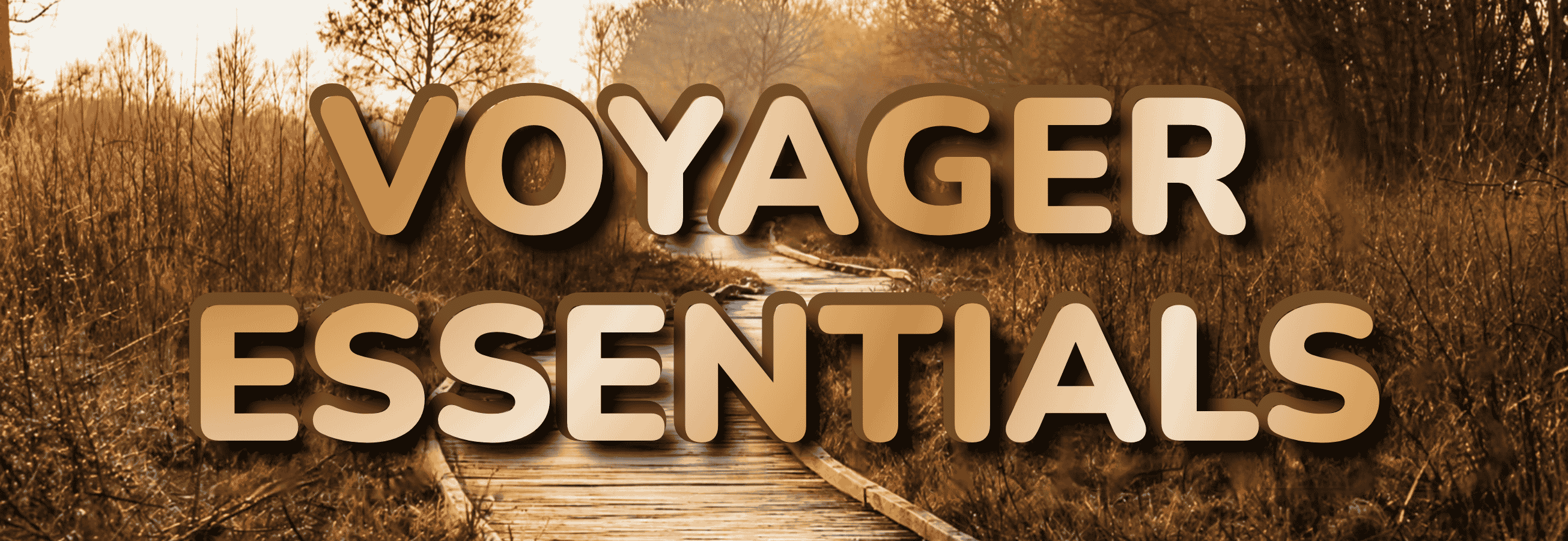 A scenic landscape of a winding path, with brown fields, sun ray, and large semi-transparent text reading 'VOYAGER ESSENTIALS' across the center.