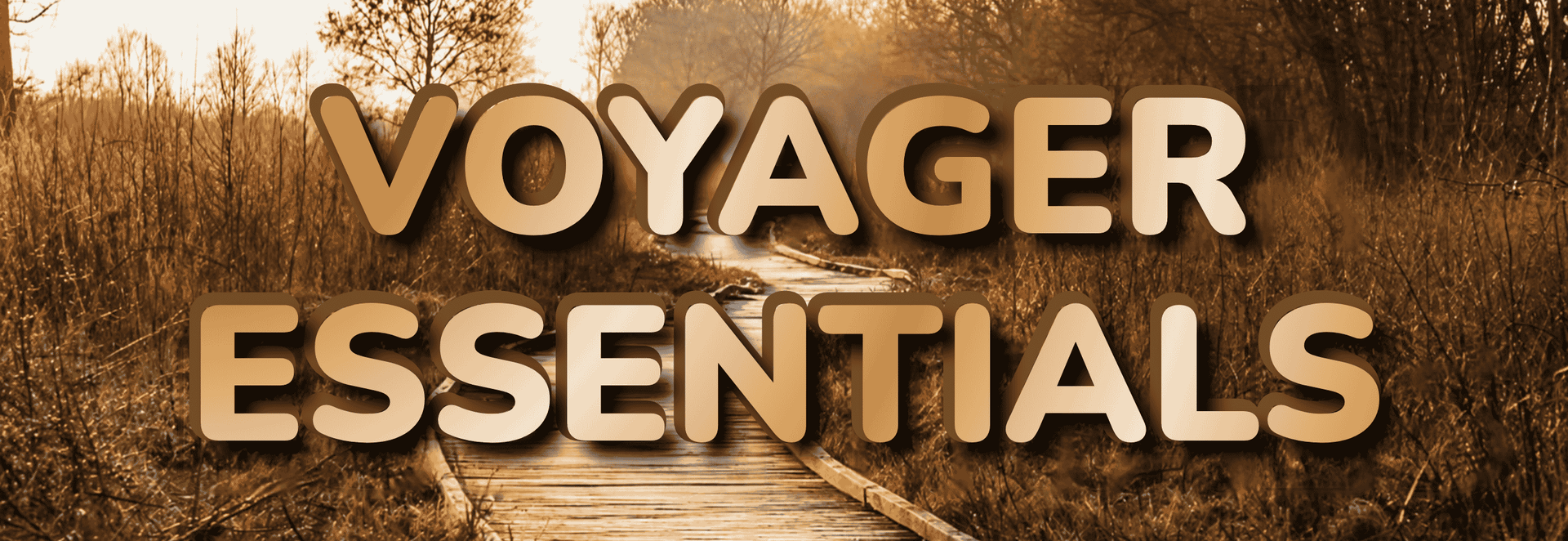 A scenic landscape of a winding path, with brown fields, sun ray, and large semi-transparent text reading 'VOYAGER ESSENTIALS' across the center.