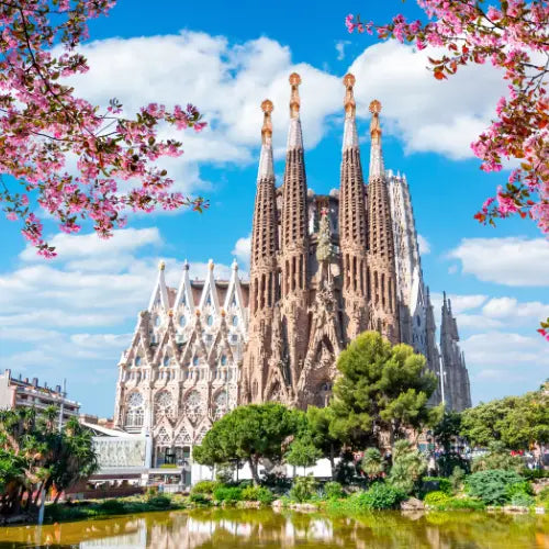 Sagrada Familia with cherry blossoms in Barcelona, Spain