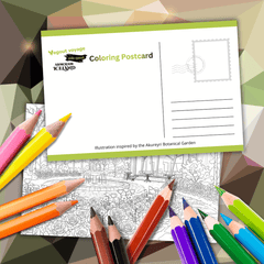 Color-Your-Own Mailable Postcard: Iceland Botanical Garden (Pack of 6 + Essential Art 12-Color Pencil Set)